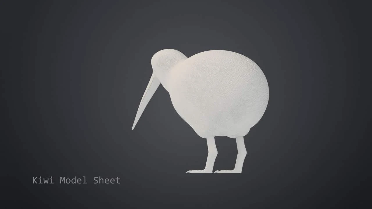 Kiwi secondary character anatomy and proportional sheet