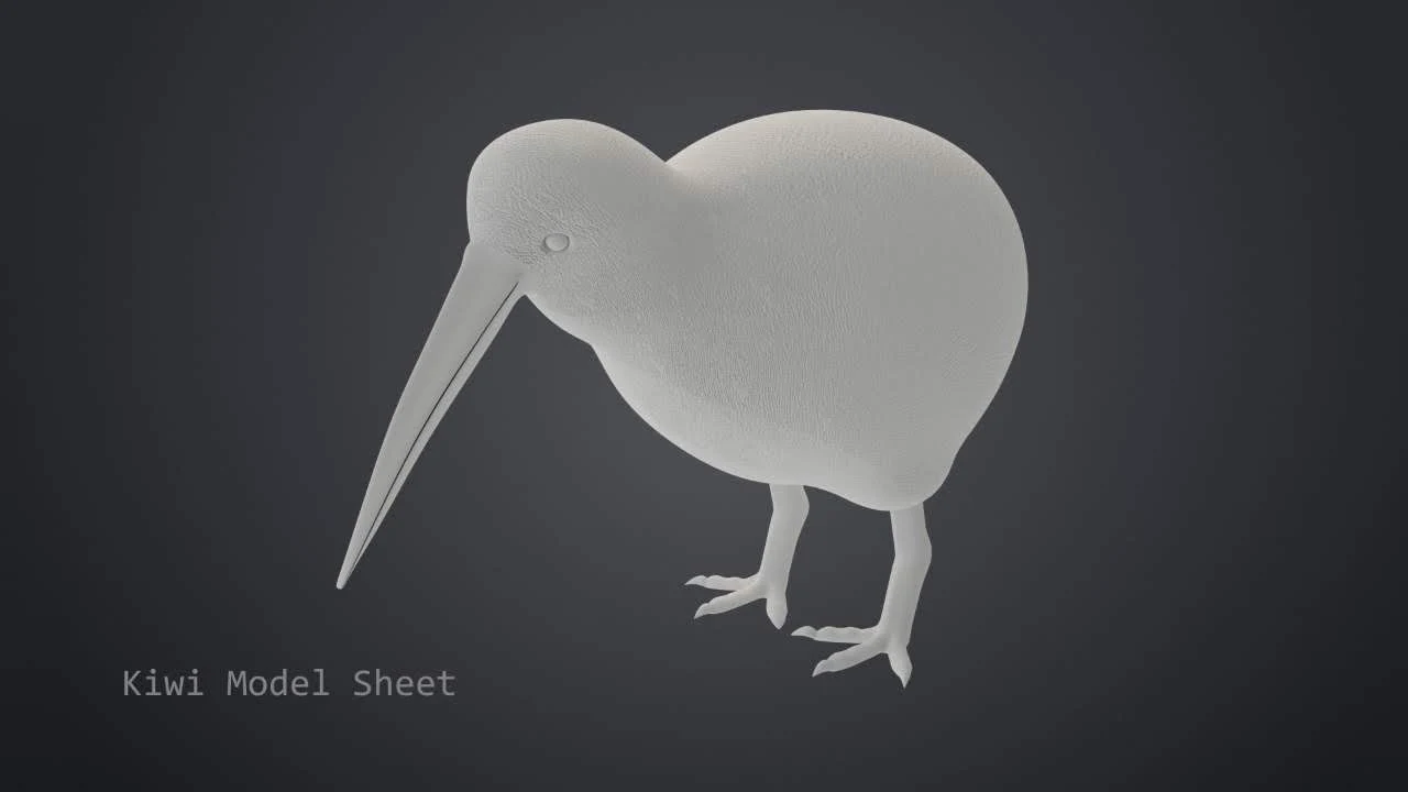 Kiwi master character turnarounds and expression model sheet